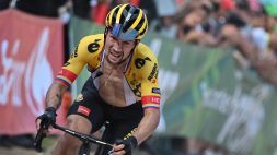 Jumbo Visma: Niermann conferma l'obiettivo di Primoz Roglic