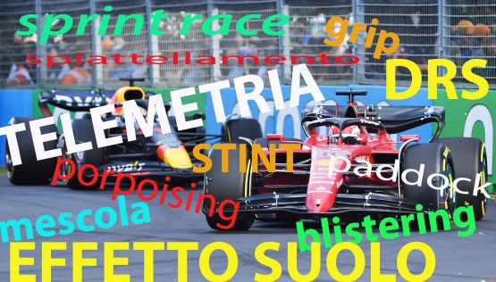 Il vocabolario delle parole della F1: da porpoising a halo, da blistering a drs