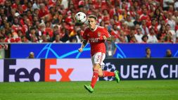 Benfica: la Juventus torna alla carica per Grimaldo