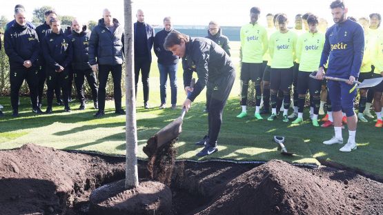 Un albero in casa Tottenham per omaggiare Ventrone