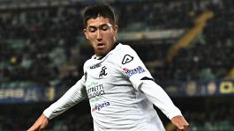 Ufficiale, Ellertsson dallo Spezia al Venezia