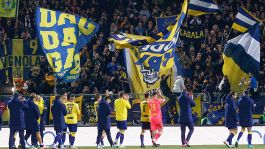 Serie B, Modena: ufficiale il rinnovo del ds Vaira