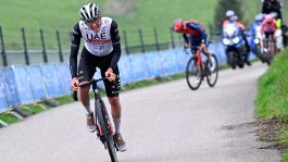 Amstel Gold Race, la rasoiata di Pogacar stende tutti e vale il bis con il Fiandre