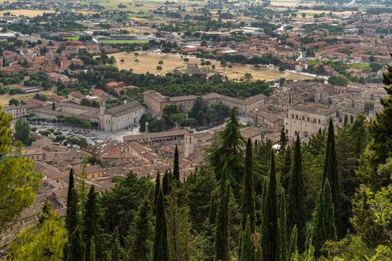 Gubbio piange Alessio Gigli, un cuore d'oro che sognava l'Europeo di Pit Bike