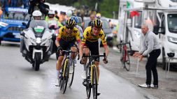 Giro d'Italia, Roglic non alza bandiera bianca