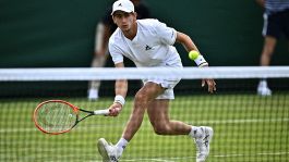 Qualificazioni Wimbledon: quattro italiani al turno decisivo