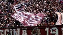 Consiglio Federale ricorsi Reggina e Lecco: il 7 luglio l'esito, poi eventuali ripescaggi