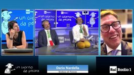 Calcio, Nardella: "Se la Fiorentina vince la Conference mi tingo i capelli di viola"