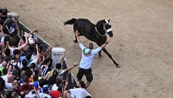 Palio di Siena, pazza carriera: vince l'Oca da "scossa", harakiri Tittia