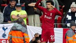 Premier League, Tottenham-Liverpool: le scuse degli arbitri non bastano, i Reds vogliono il rematch