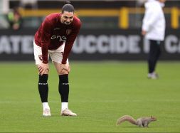 Torino-Napoli, uno scoiattolo fa invasione di campo durante il riscaldamento: guarda le foto