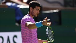 Tennis Indian Wells, Alcaraz-Zverev sospesa per invasione di api: Carlos scappa impaurito nel tunnel. LE FOTO