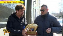 Bobo TV, Vieri lascia la parola all'avvocato: le dichiarazioni su Adani, Ventola e Cassano a Striscia La Notizia