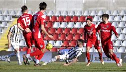 Serie C: il Vicenza vince e chiude terzo, il Verona è salvo, Giana ai playoff