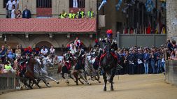 Palio di Siena, a sorpresa vince la Lupa: Dino Pes a 44 anni si regala la prima vittoria in piazza, che mazzata per Tittia!