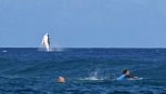 Il salto della balena durante la gara di surf alle Olimpiadi nelle acque di Tahiti