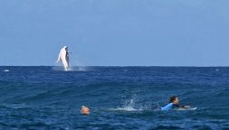 Il salto della balena durante la gara di surf alle Olimpiadi nelle acque di Tahiti