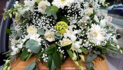 I funerali di Lea Pericoli a Milano, la dolorosa assenza dell'amico Nicola Pietrangeli