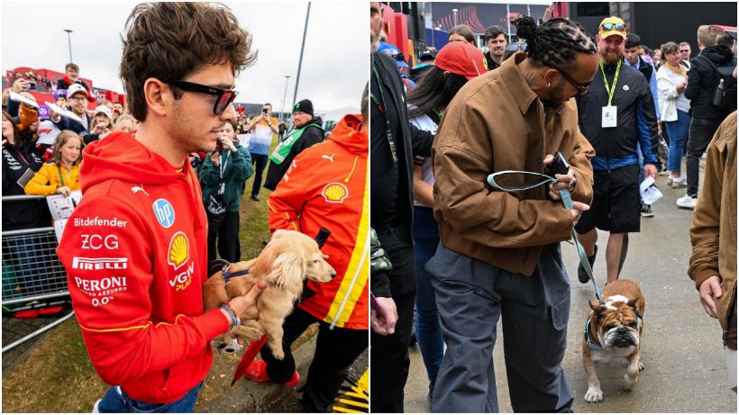 F1, Ferrari: Roscoe e Leo rubano la scena ad Hamilton e Leclerc, il selfie di Sainz, i primi giri di Antonelli