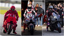 MotoGP, test Sepang con Bagnaia, Marquez e Martin, si fa sul serio. Ducati da paura: "Abbiamo assi nella manica"