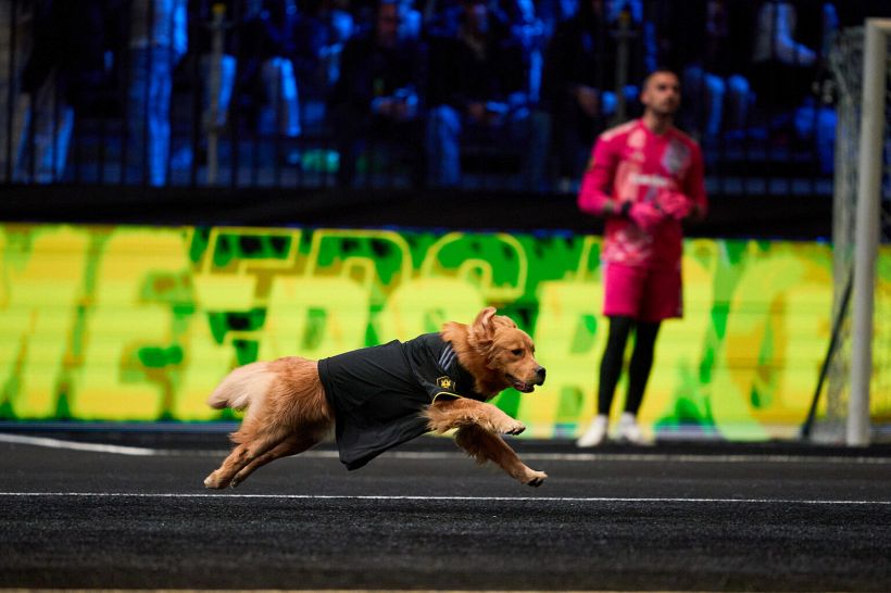 Kings League Italia, il rigore di Toni e il cane di Fedez: i momenti più iconici della quinta giornata