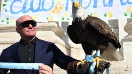 Lazio, Olympia volerà nel derby? Bernabé tende la mano a Lotito, ma intanto rischia lo sfratto 