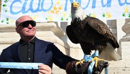 Lazio, Olympia volerà nel derby? Bernabé tende la mano a Lotito, ma intanto rischia lo sfratto 