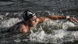 Nuoto, l'Italia domina in Coppa del Mondo a Ibiza: Filadelli, Verani e Ilario sul podio. Ma Paltrinieri chiude lontano