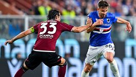 Salernitana rischio doppio salto all'indietro: tutti i precedenti della Storia