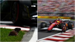 F1, Hamilton devastato per la marmotta investita: "Amo gli animali". Punti di carico persi e team radio Adami