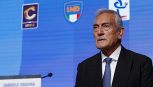 Italia, i senatori azzurri fanno il nome del ct preferito: la reazione di Gravina