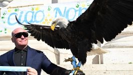 Lazio, l'ex falconiere Bernabè sbarca nudo su Onlyfans e attacca Lotito