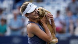 Washington, Kalinskaya rediviva: batte Raducanu e sfida Fernandez per sfatare il tabù titolo. Ma un invasore le ruba la scena