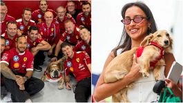 F1 Silverstone, Ferrari: pole position possibile, Roscoe e Leo per dare manforte a Hamilton e Leclerc