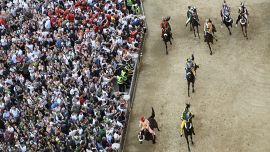 Palio di Siena, Tittia domina e conquista l'11ma vittoria in piazza: trionfa l'Oca, Diodoro vince al debutto