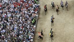 Palio di Siena, Tittia domina e conquista l'11ma vittoria in piazza: trionfa l'Oca, Diodoro vince al debutto