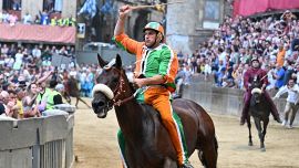 Palio di Siena, Tartuca e Chiocciola rivali in piazza, ma favorite. Tittia va a caccia del record