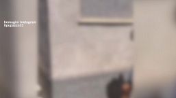 Basket, Polonara torna a casa: l'accoglienza dei figli