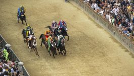 Palio di Siena, trionfa il Montone! Gingillo resiste al ritorno di Tittia, dopo 13 anni il "cencio" torna a Porta Romana
