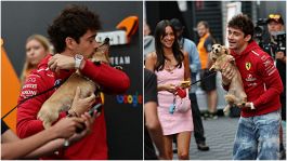 F1, Leo fa tornare il sorriso a Leclerc: Charles gioca col suo cane portato ai box da Alexandra Saint Mleux