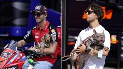 MotoGP, Misano diventa pet friendly: Bagnaia con Turbo, Bastianini con Hagrid, ecco i cani di Pecco ed Enea