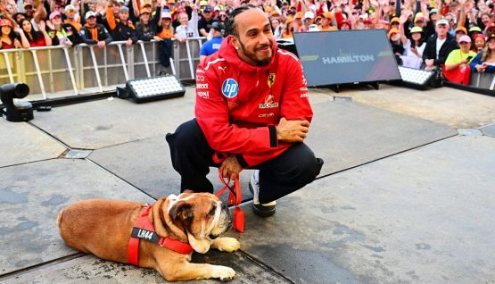 Hamilton in ansia per Roscoe salta i test Pirelli al Mugello: "Pregate per lui". La solidarietà del web