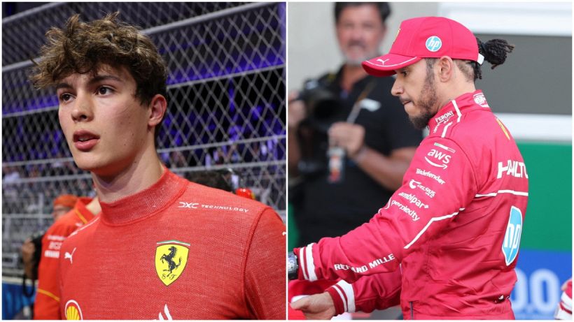 Bearman, il futuro Ferrari è già qui ed Hamilton trema: Terruzzi e Turrini spingono il tenero orso Ollie