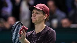 Sinner, la vera fatica è sopportare chi sale e chi scende dal carro: la 'fastidiosa sindrome' di Homer Simpson