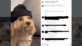 Tedofori, il cane Chico dopo l'Uomo Gatto: tutti tranne Fauner e gli ex olimpionici, si riaccende la polemica