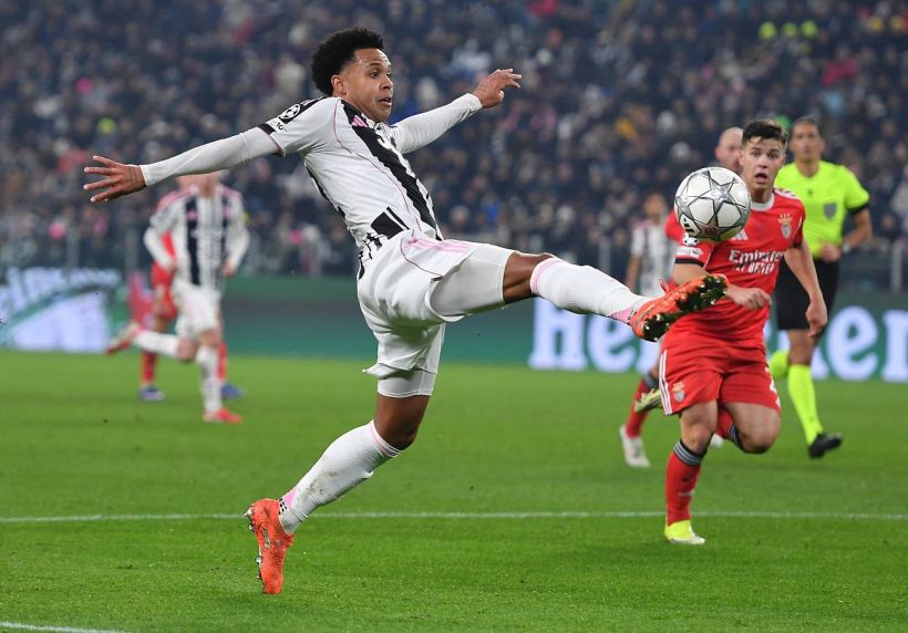 Juventus, il Psg fa muro su Kolo Muani e rispunta Pellegrino del Parma: McKennie, il rinnovo è vicino