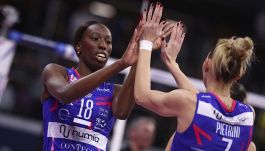 Volley Champions, Scandicci cerca la rimonta contro Novara per sfidare Orro. Egonu aspetta l'Olympiakos