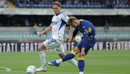 Verona-Como, moviola: Di Bello e Var che pasticci, graziato Fabregas che va in Europa, Hellas 4 rigori negati e gol annullato