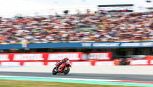 MotoGP Olanda, anteprima Assen: orari e dove vedere in tv. Marquez vuole completare la rimonta su Aprilia, Bezzecchi in cerca di redenzione