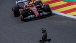F1 Gp Belgio, orari e dove vedere in tv: tra Eau Rouge e Raidillon Ferrari e Antonelli all'esame Spa